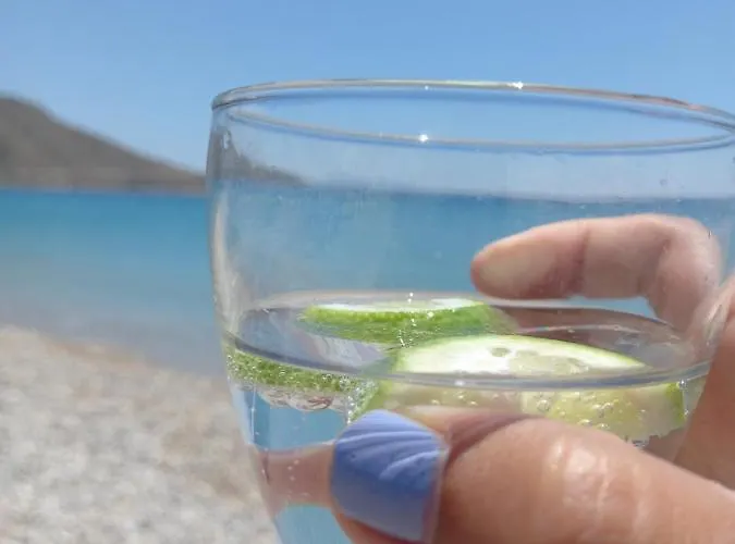 Ege Masali Butik Otel * Palamutbuku